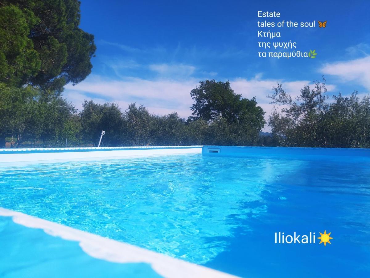 Bungalows with private pools Tales of the Soul - Της Ψυχής Τα Παραμύθια Anemochori Εξωτερικό φωτογραφία