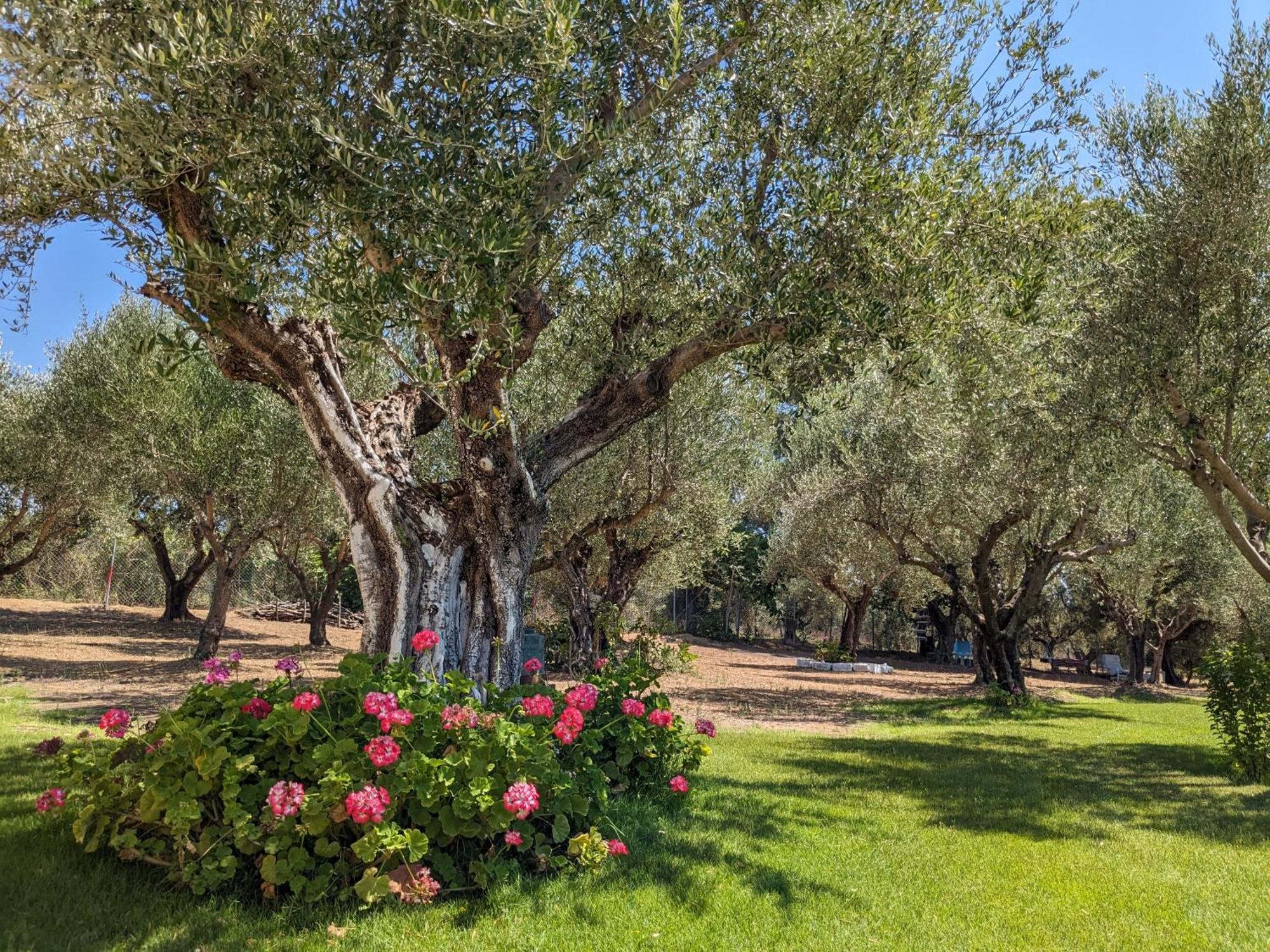 Bungalows with private pools Tales of the Soul - Της Ψυχής Τα Παραμύθια Anemochori Εξωτερικό φωτογραφία